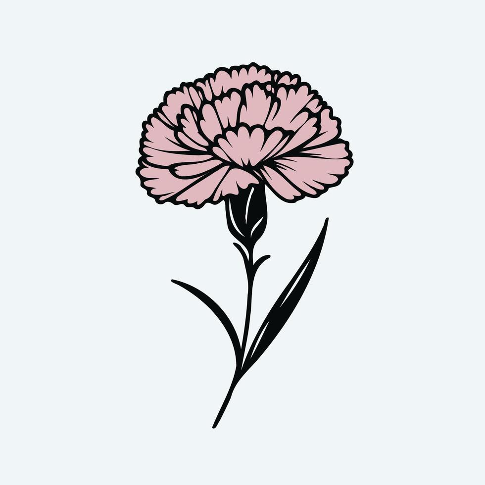 A pink carnation flower on a white background vector
