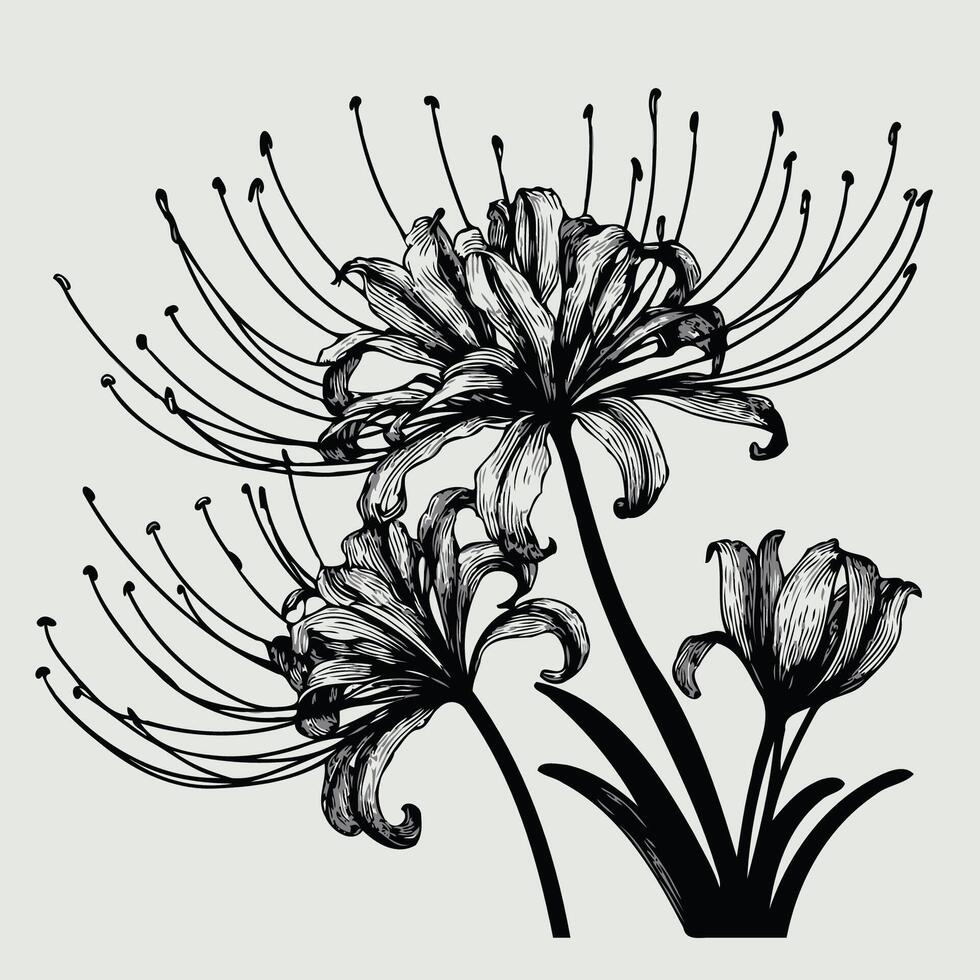 Black and white illustration of a flower vector