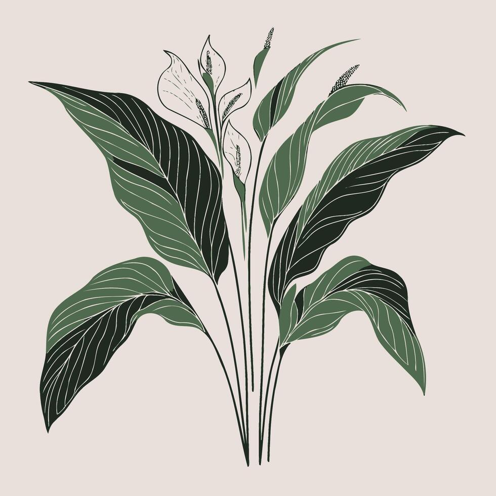 illustration of a plant with leaves drawing vector