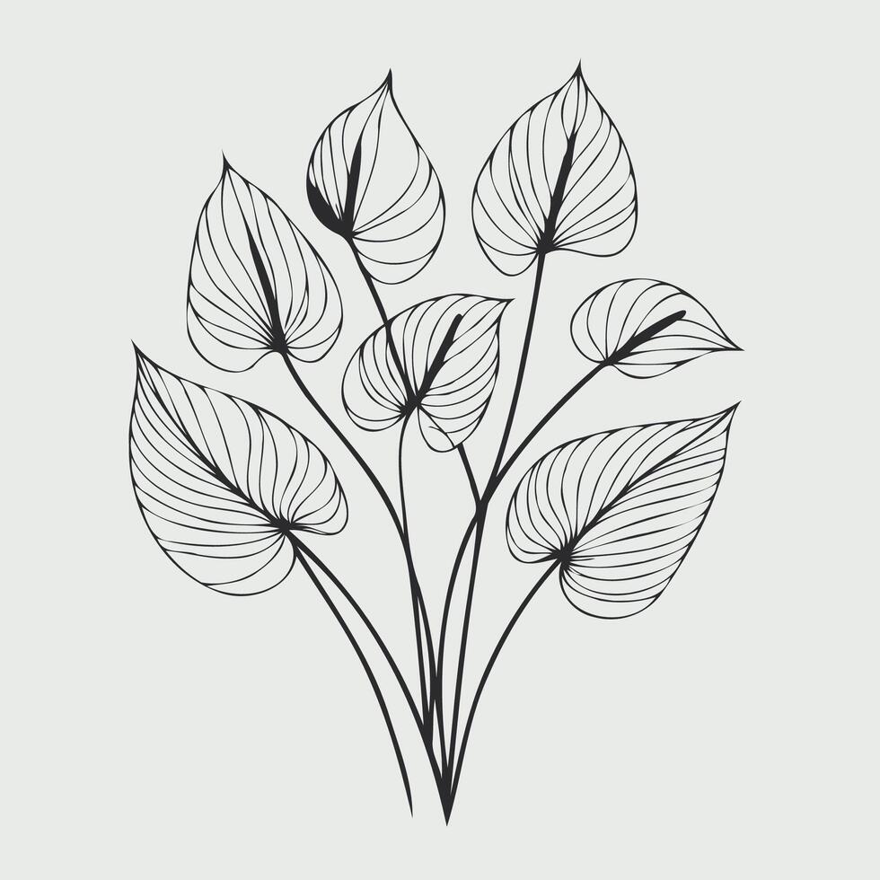 illustration of a bunch of leaves Anthurium vector