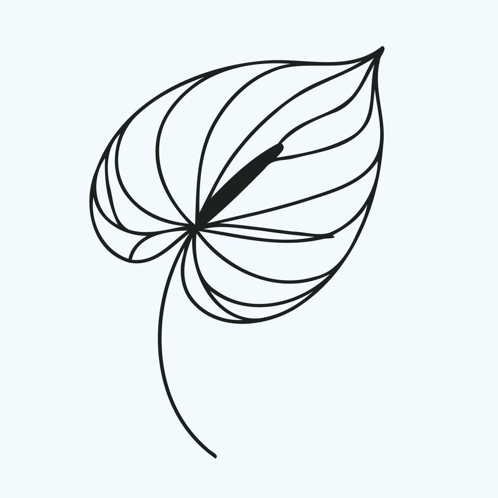 A black and white drawing of a leaf vector