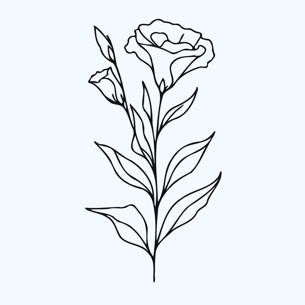 A line drawing of a flower with leaves vector