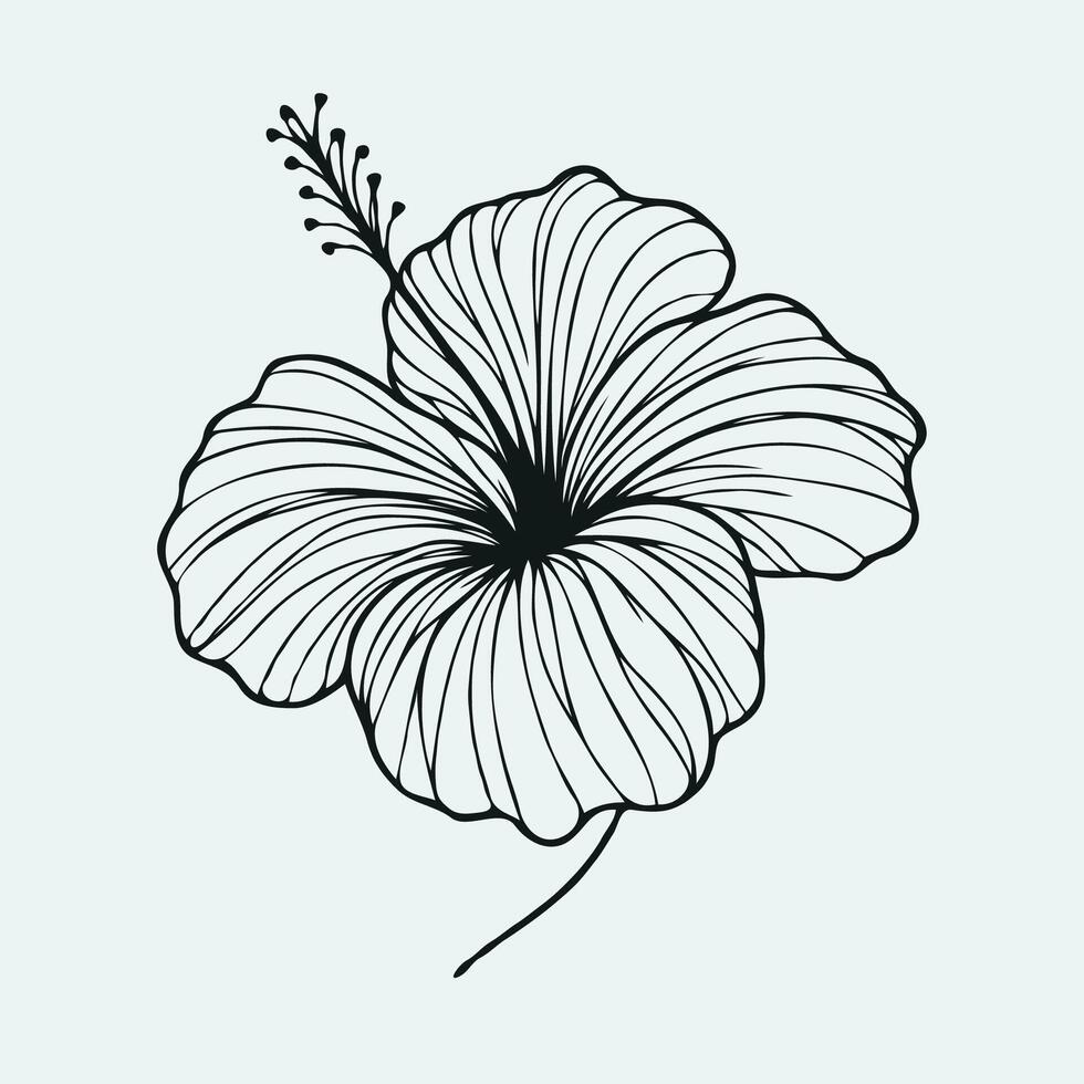 A black and white drawing of a hibiscus flower vector