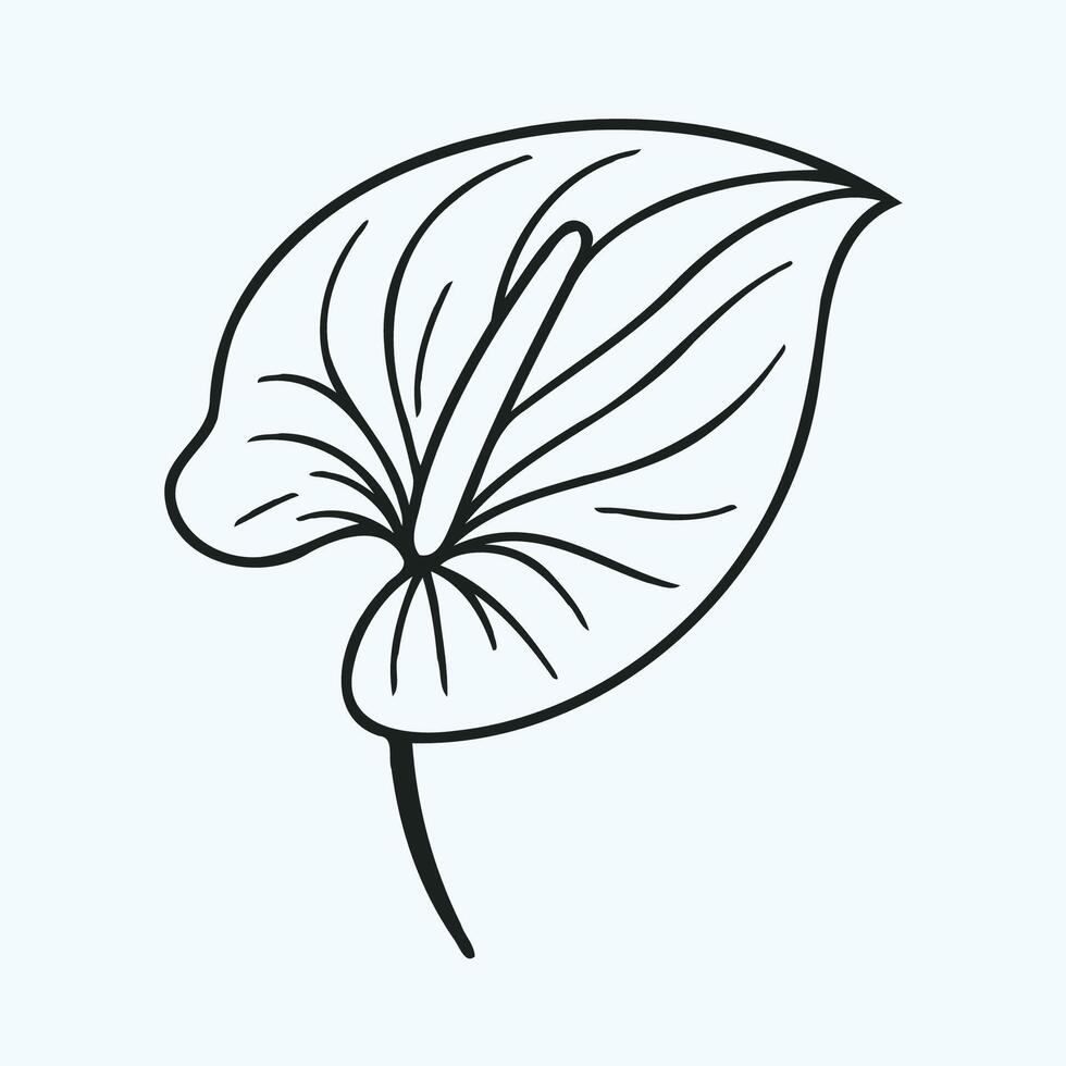 A black and white drawing of a plant with leaves vector