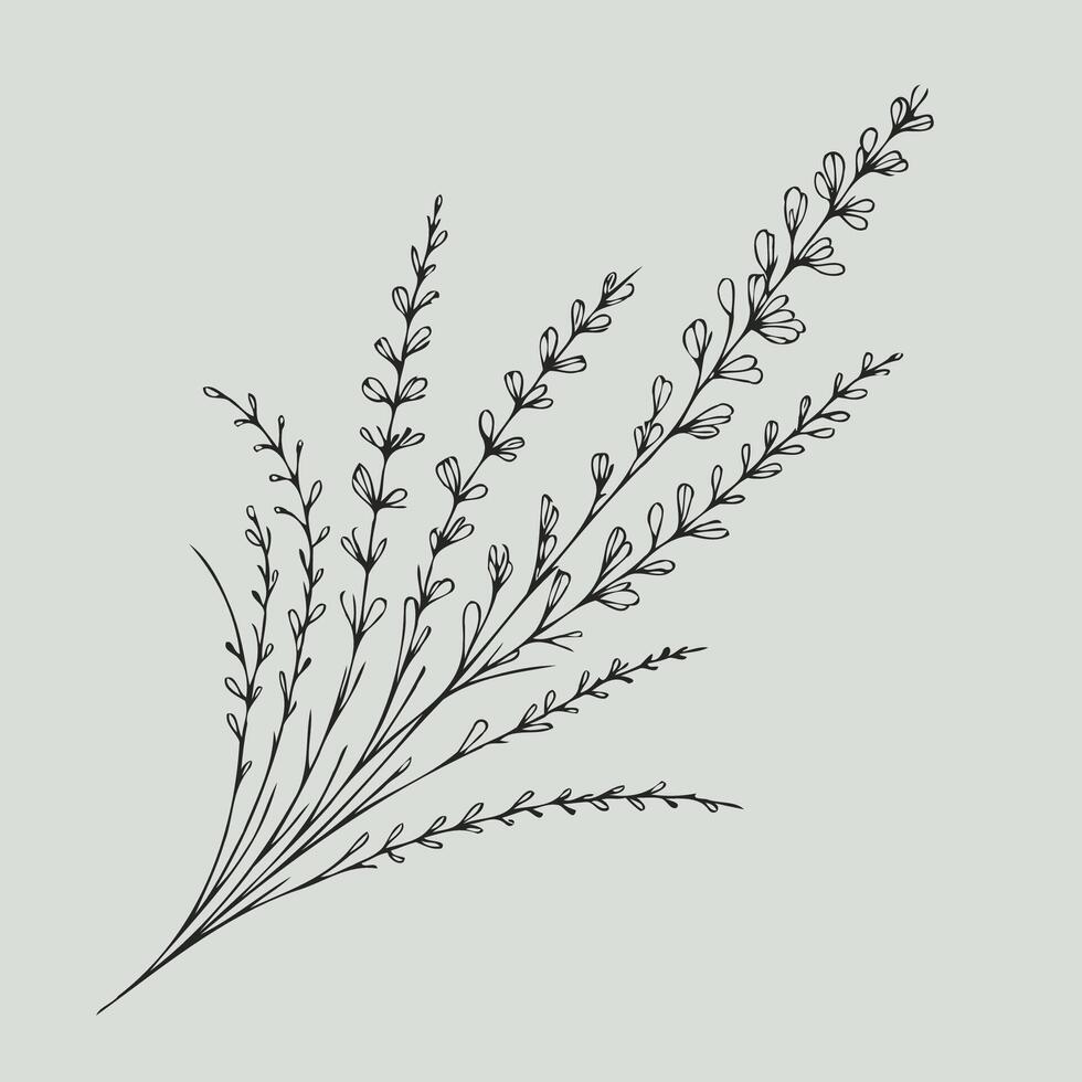 A drawing of a plant with leaves vector