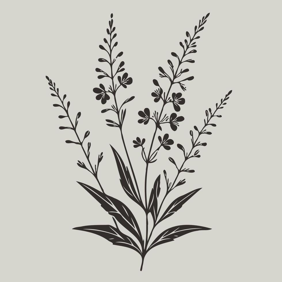 A black and white drawing of a plant with flowers vector