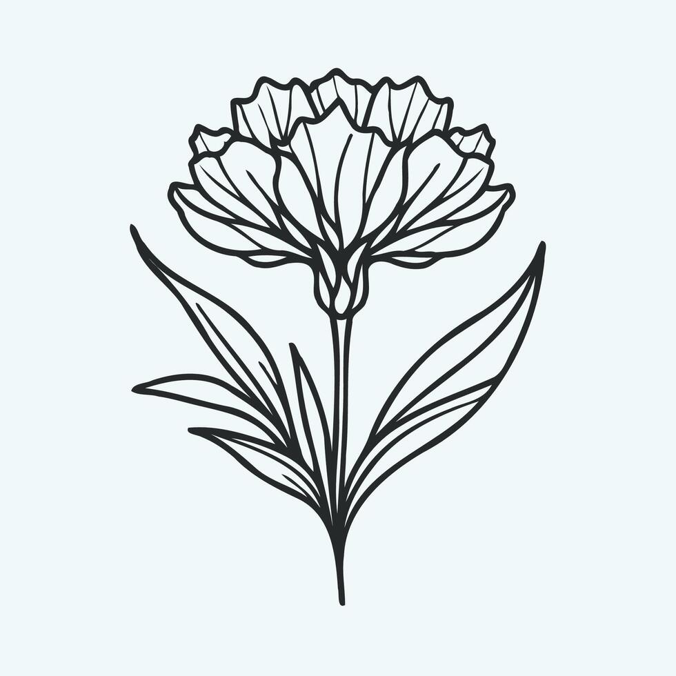 A flower is drawn in a line style vector