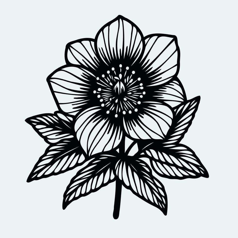 An illustration of a flower with leaves vector