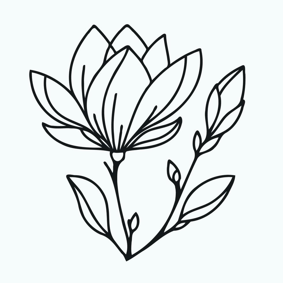 A drawing of a flower with leaves. Magnolia branch with leaves and buds. vector