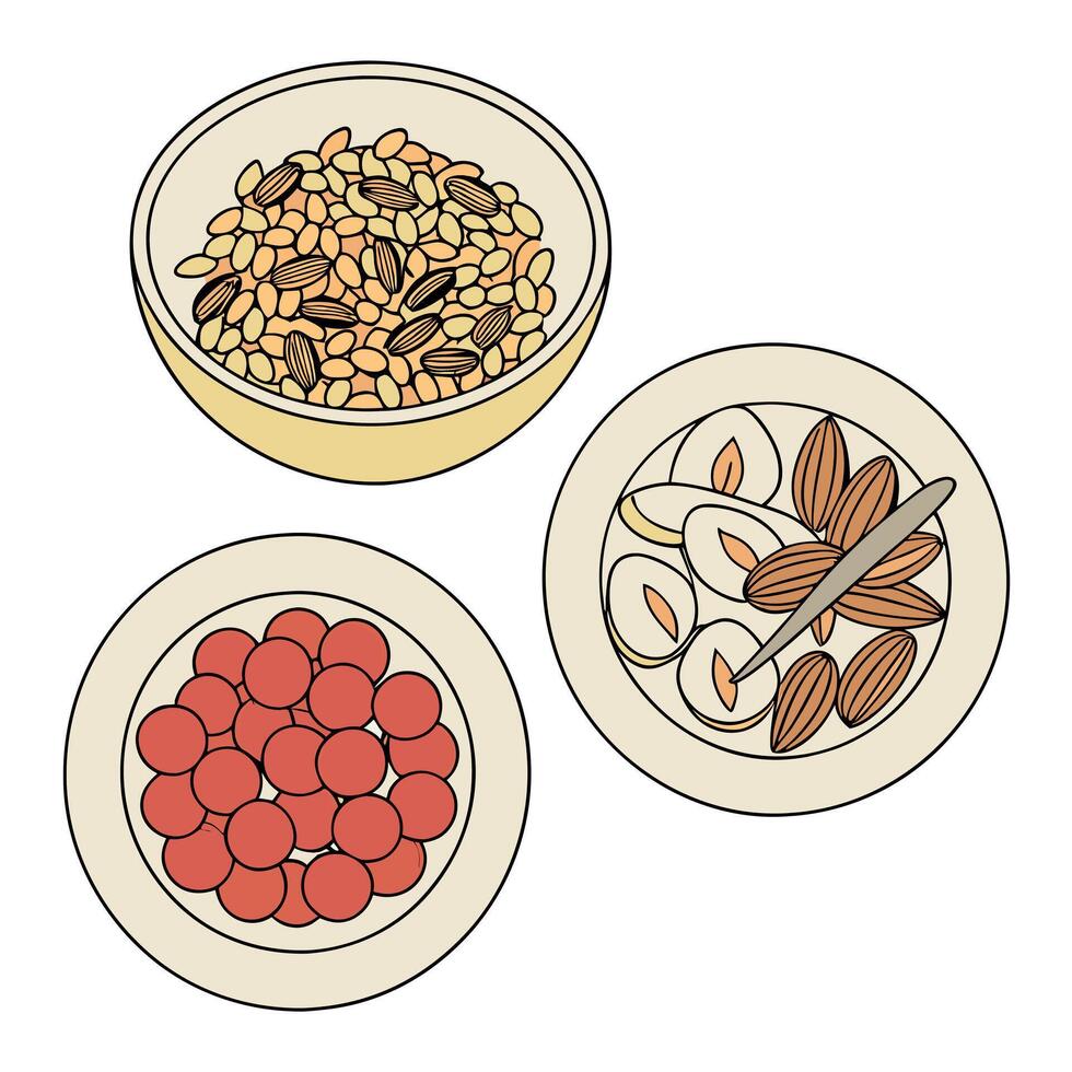 Assorted Dry Food in Bowls with Nuts, Seeds and Almonds vector