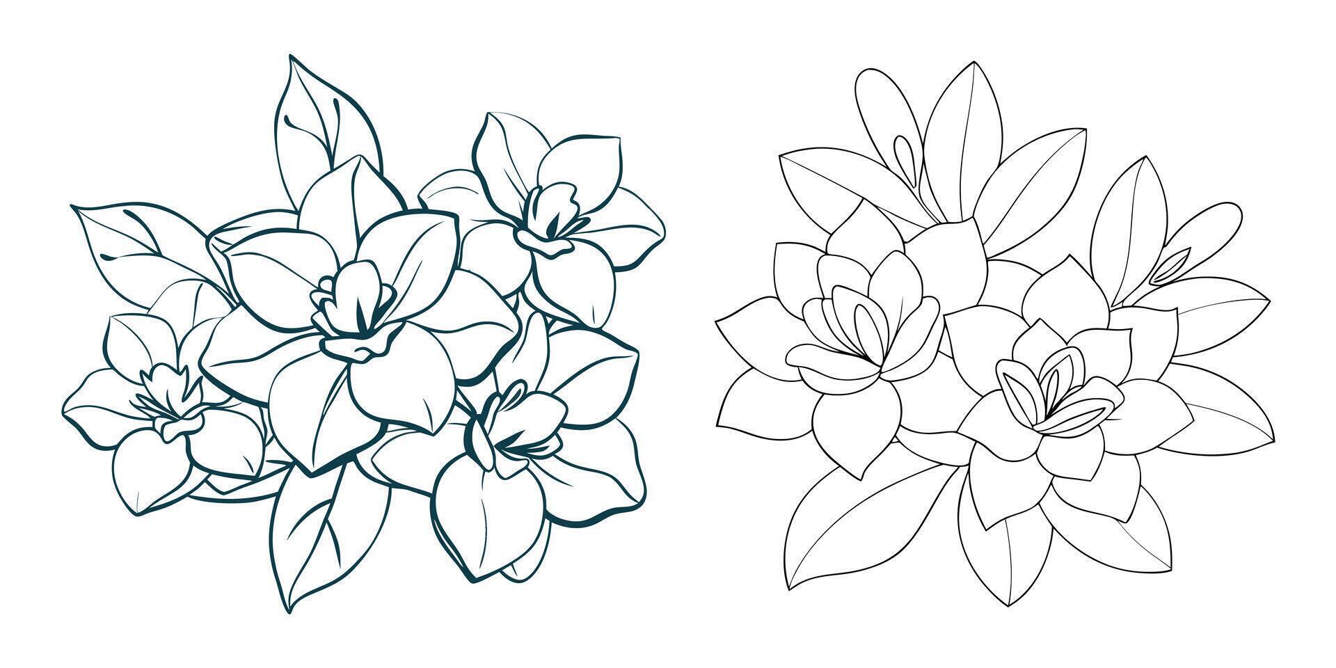 Hand drawn gardenia flower outline coloring book page line art for children and adults vector