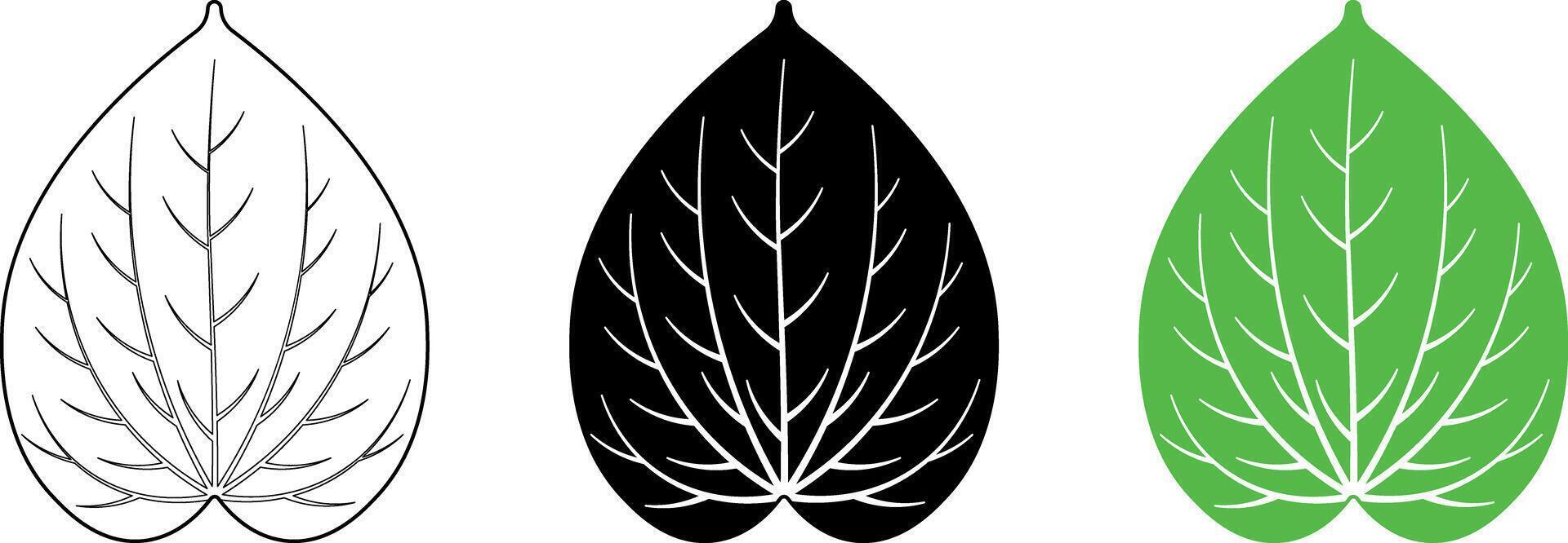 Betel or Piper betle leaves icon set vector