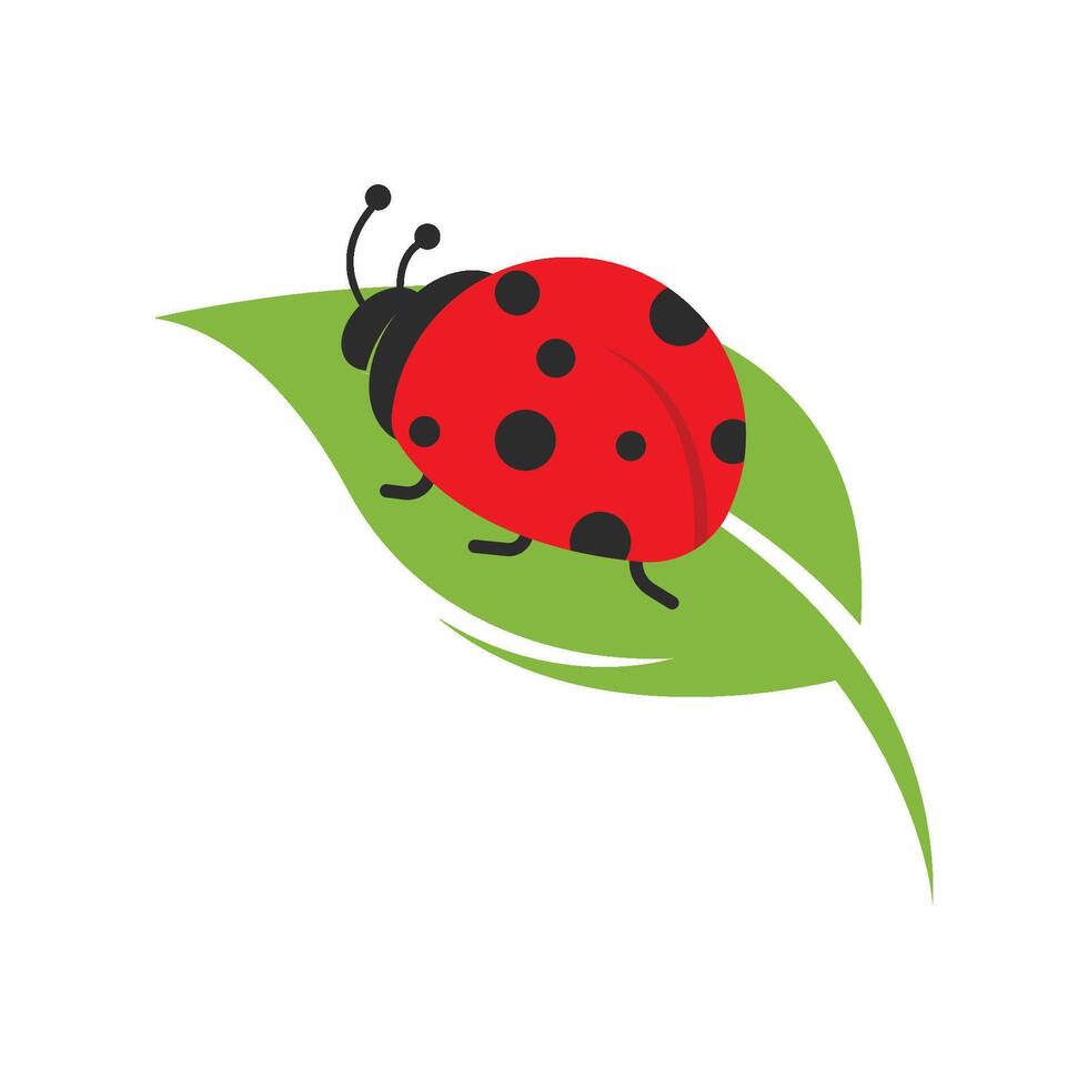 Ladybug . Ladybug logo icon on white background. vector