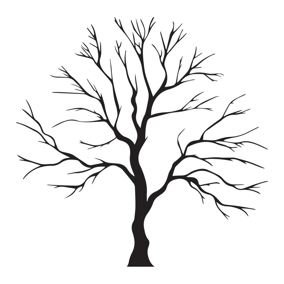 Leafless Tree Silhouette vector