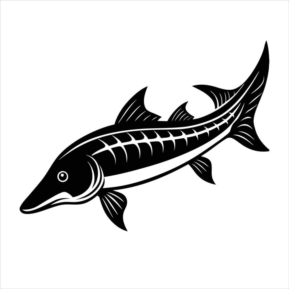 Sturgeon Fish Silhouette on White Background vector