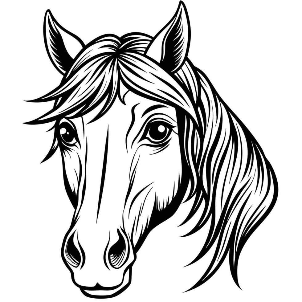 horse head in a black and white drawing vector