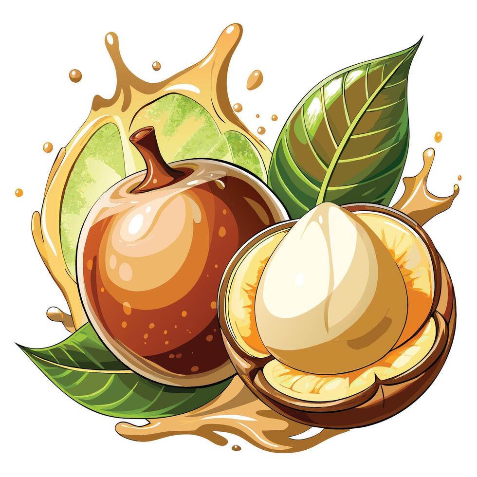 an illustration of a nut and a leaf vector