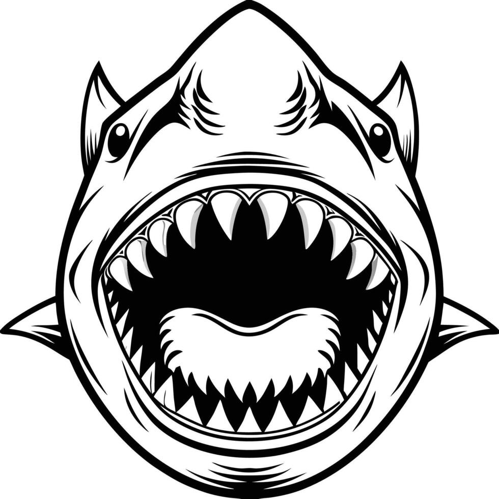 shark head art vector
