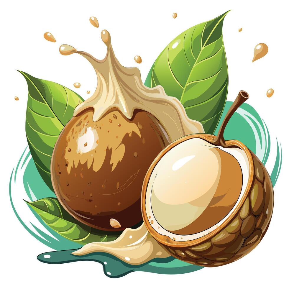 coconut with milk and leaves illustration vector