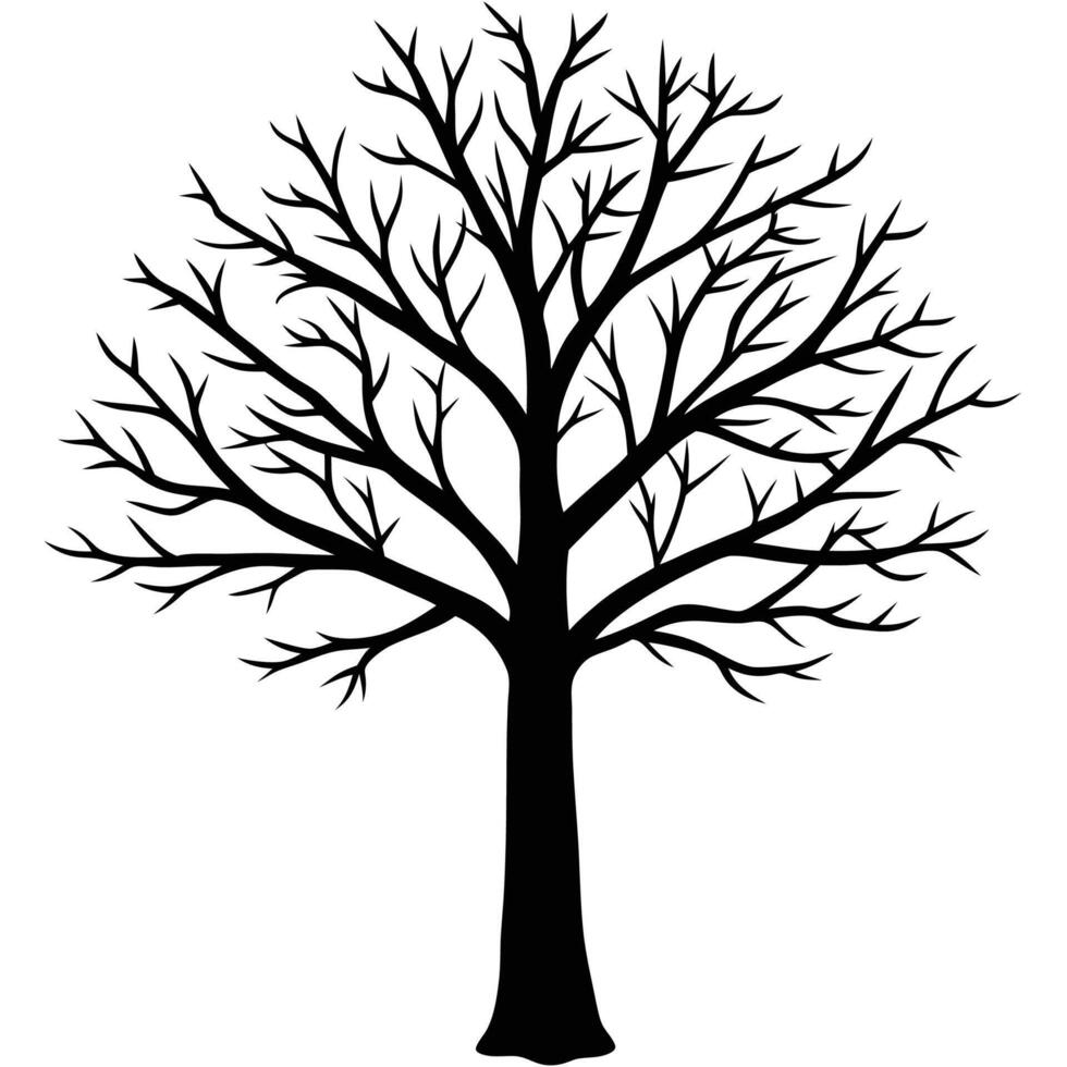 a black and white illustration of a tree with no leaves vector