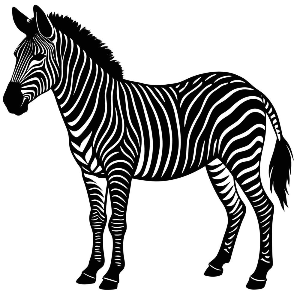 zebra art illustration vector