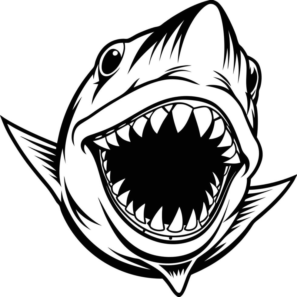 shark head with open mouth and teeth vector