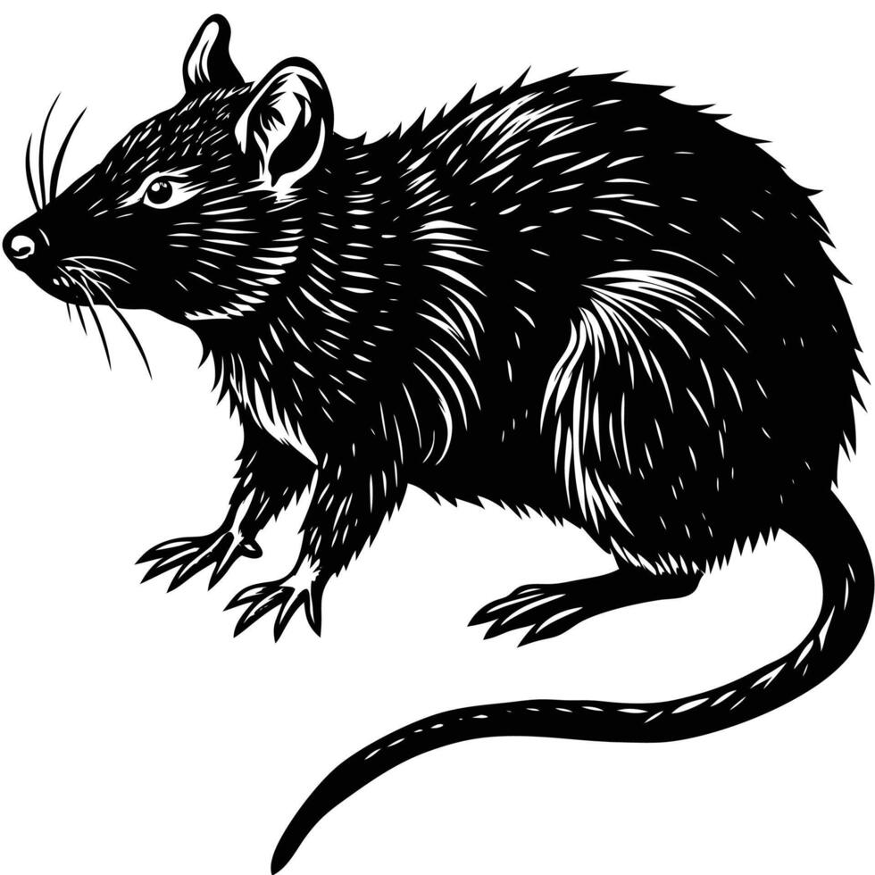 a black and white drawing of a rat vector
