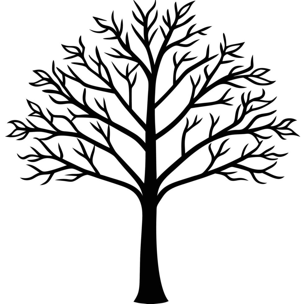 a black and white tree with no leaves vector