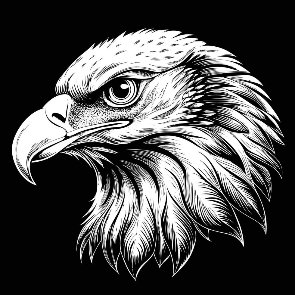eagle head in a black and white drawing style vector