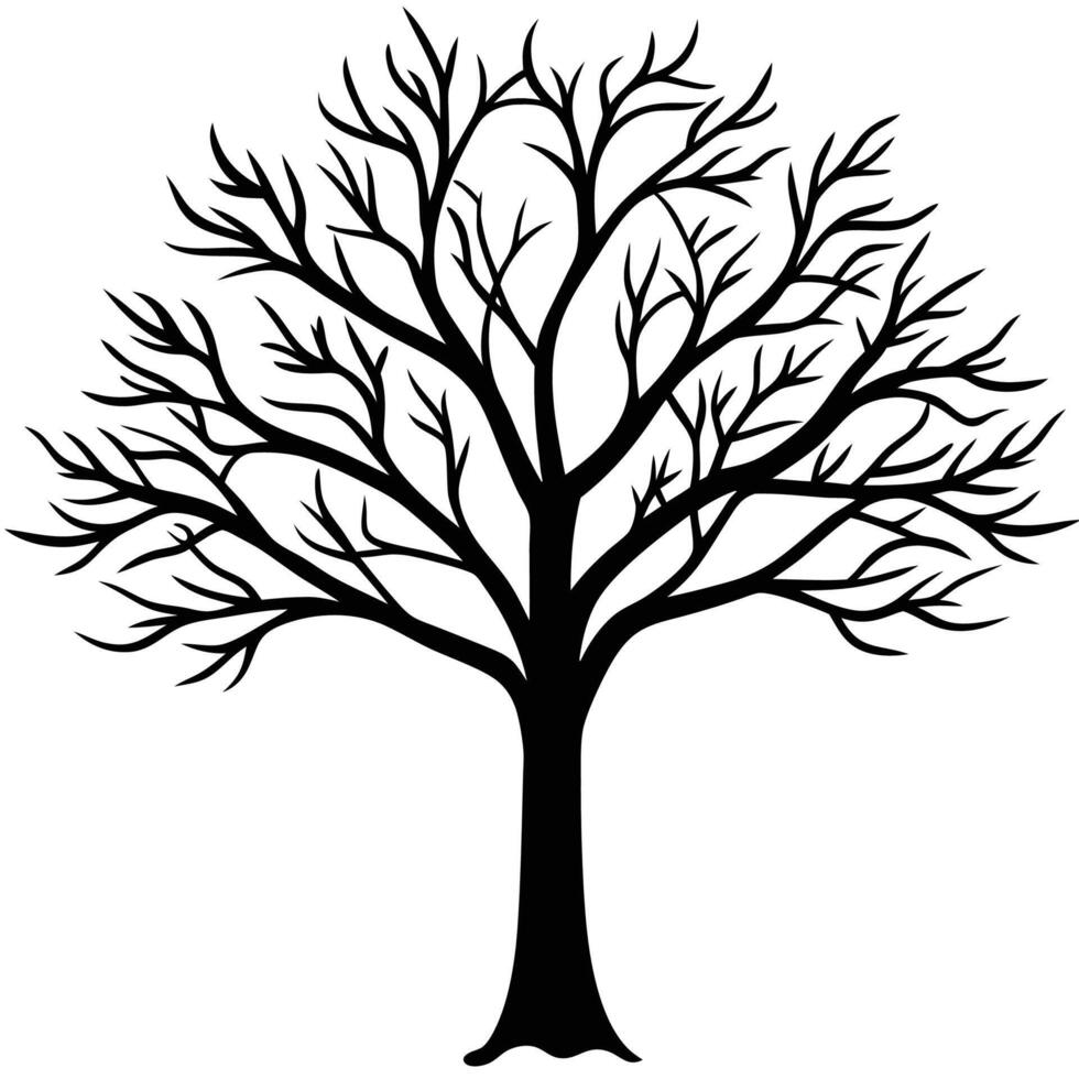 a black and white tree with no leaves vector