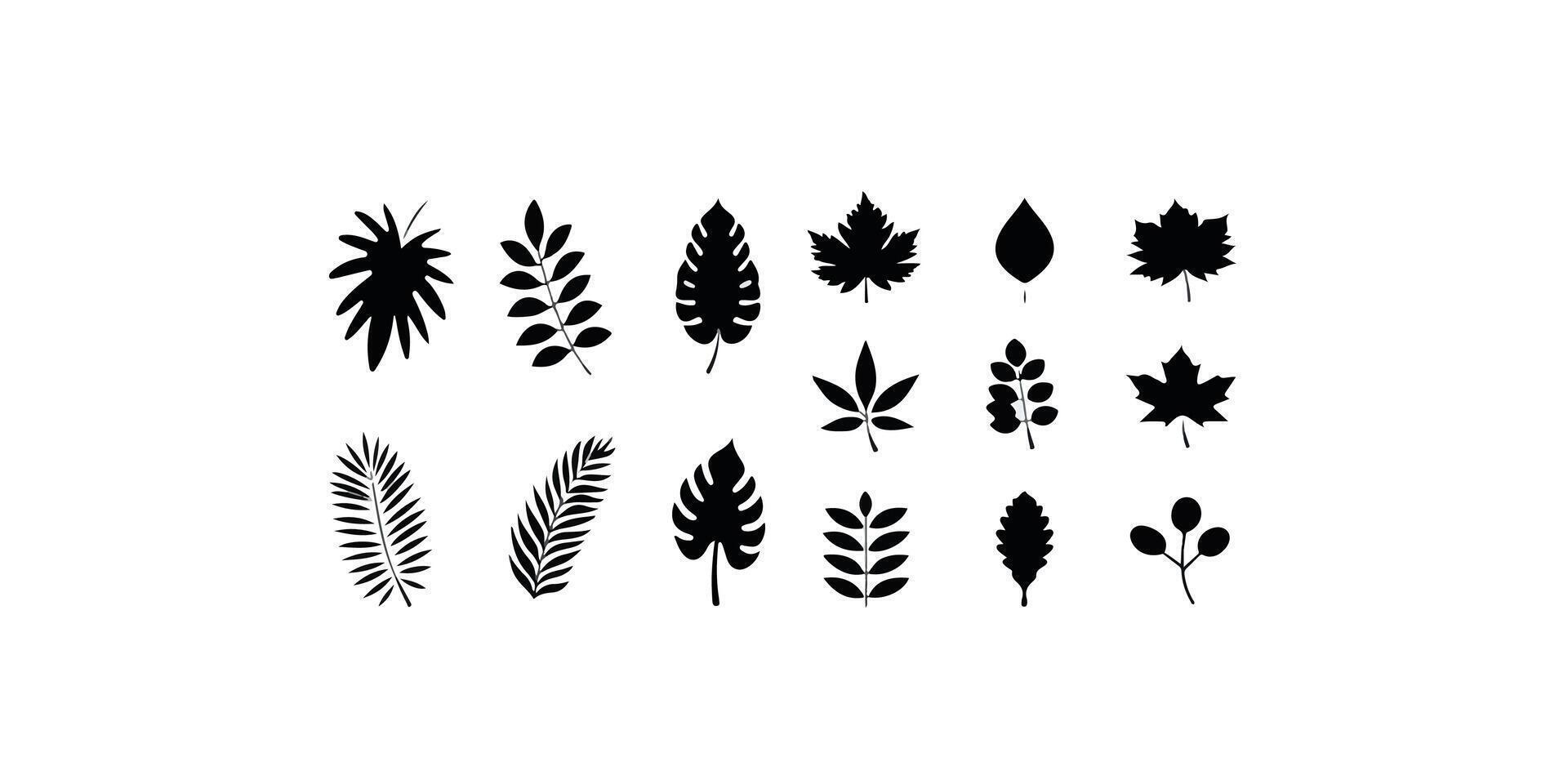 Print Branches and Leaves Silhouettes Set. vector