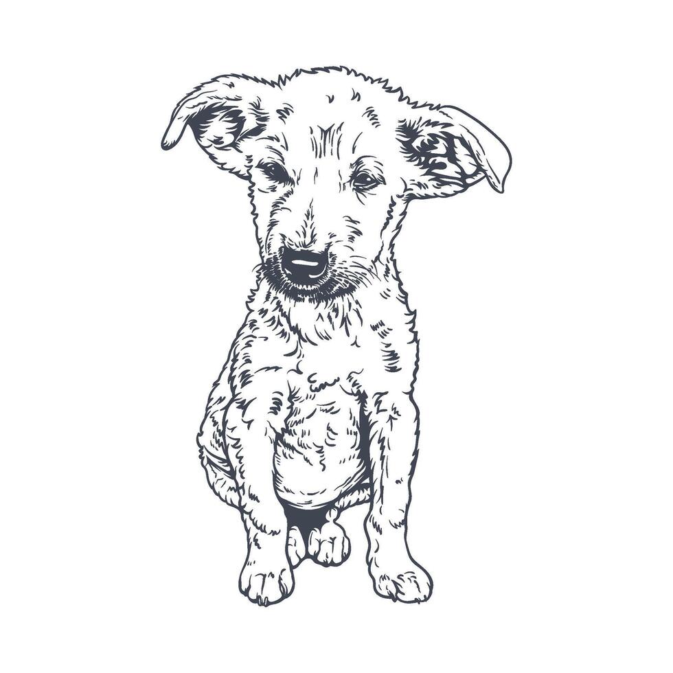 Cute Puppy Portrait, Line Art Illustration vector