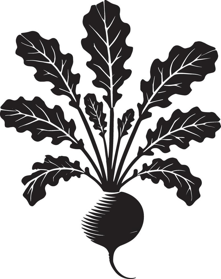 Spicy radish shadow design isolated on a crisp white surface vector