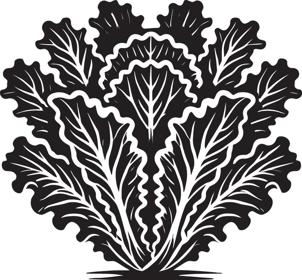 Contemporary lettuce leaf illustration on white vector