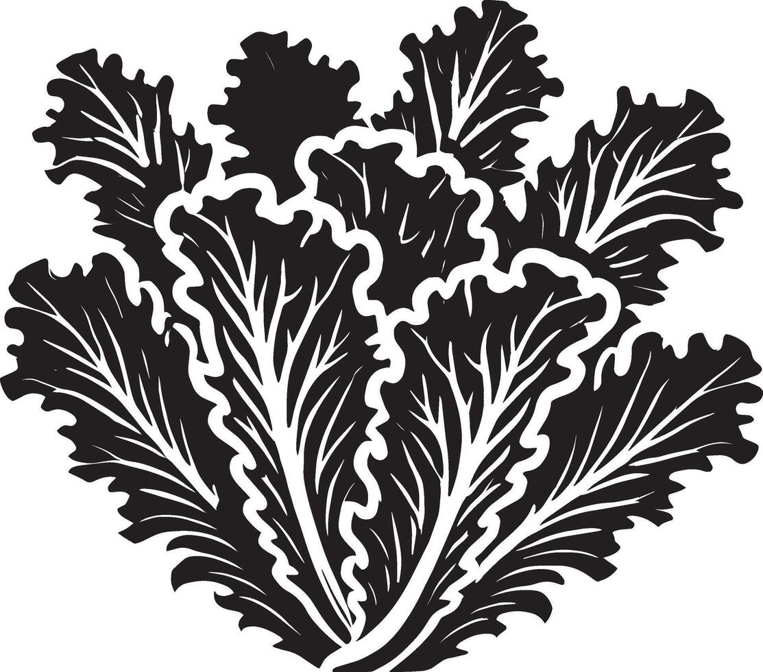 Simple lettuce plant silhouette design on clean white background vector