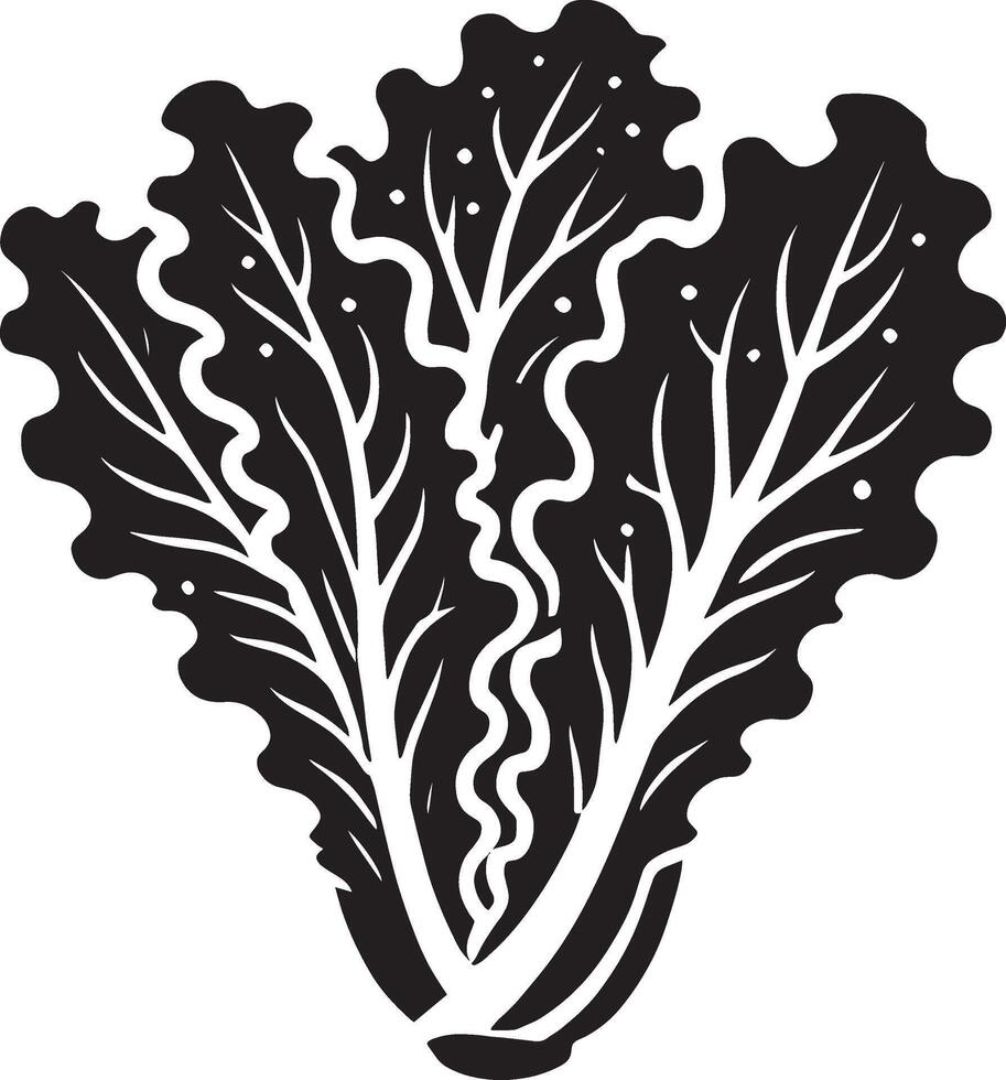 Sophisticated lettuce leaf silhouette on a white background vector
