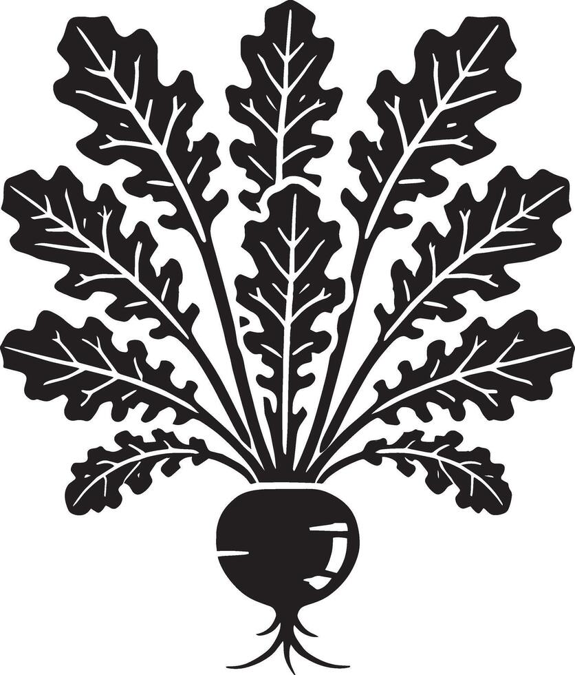 Nutritious radish root silhouette on a blank white background vector