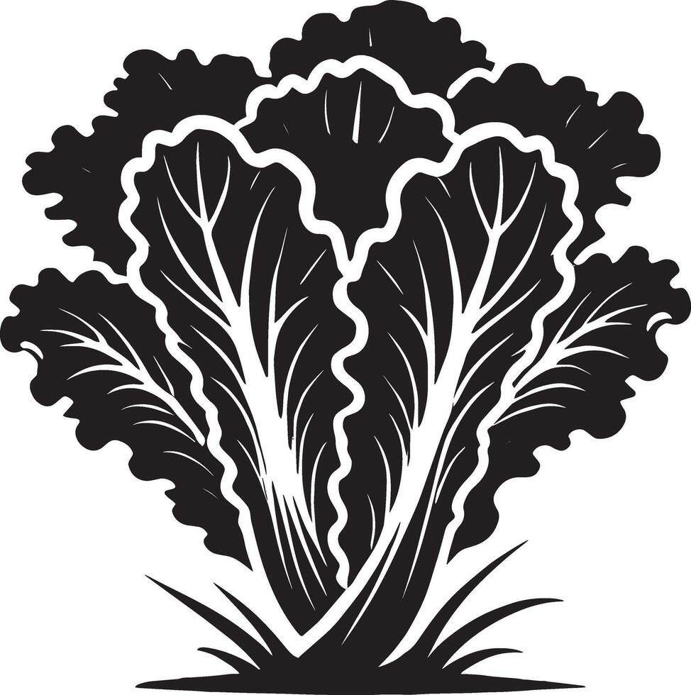 Refined lettuce plant silhouette design on a crisp white background vector