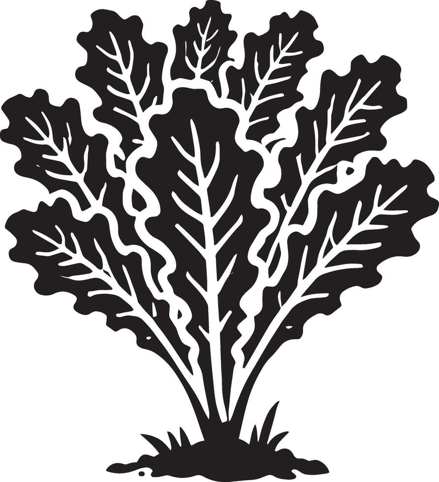 Artistic lettuce plant silhouette design against a white background vector