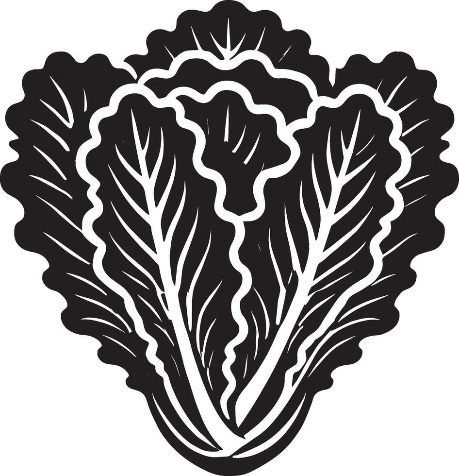 Graceful lettuce plant shadow on pure white vector