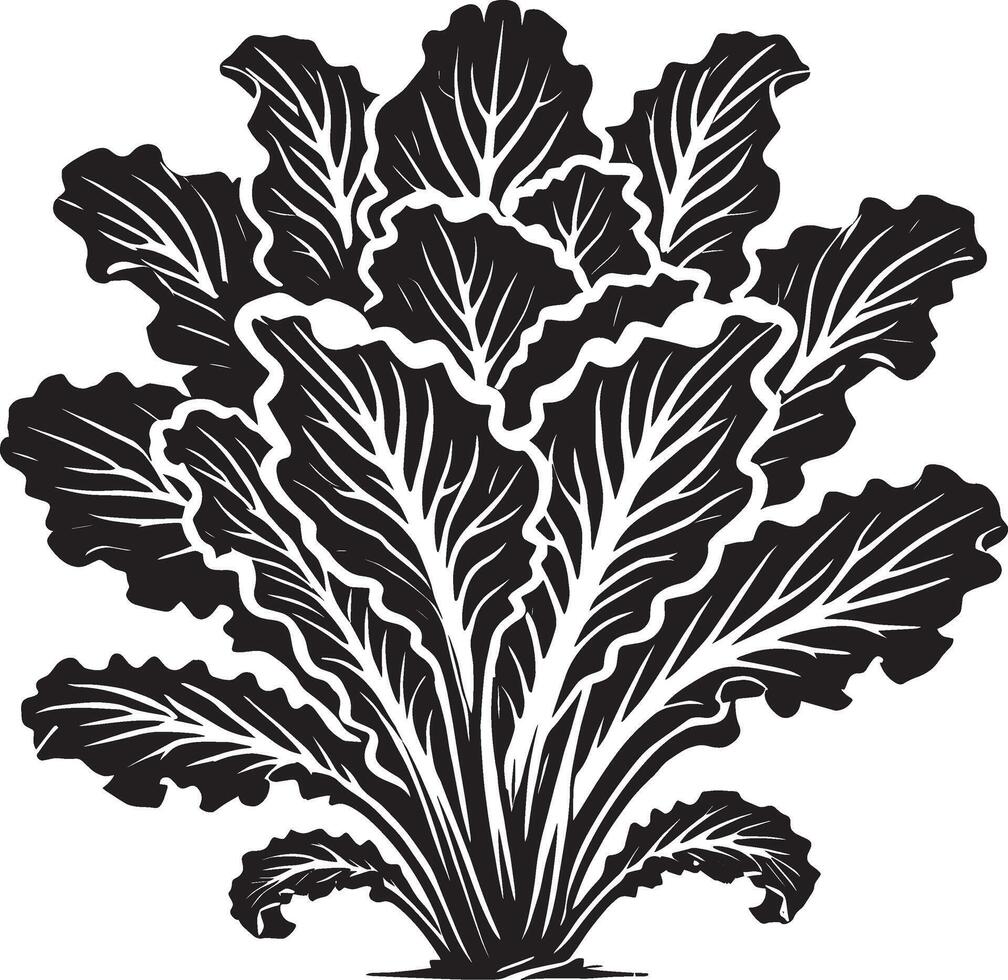 Stylish lettuce leaf shape illustration on pure white vector
