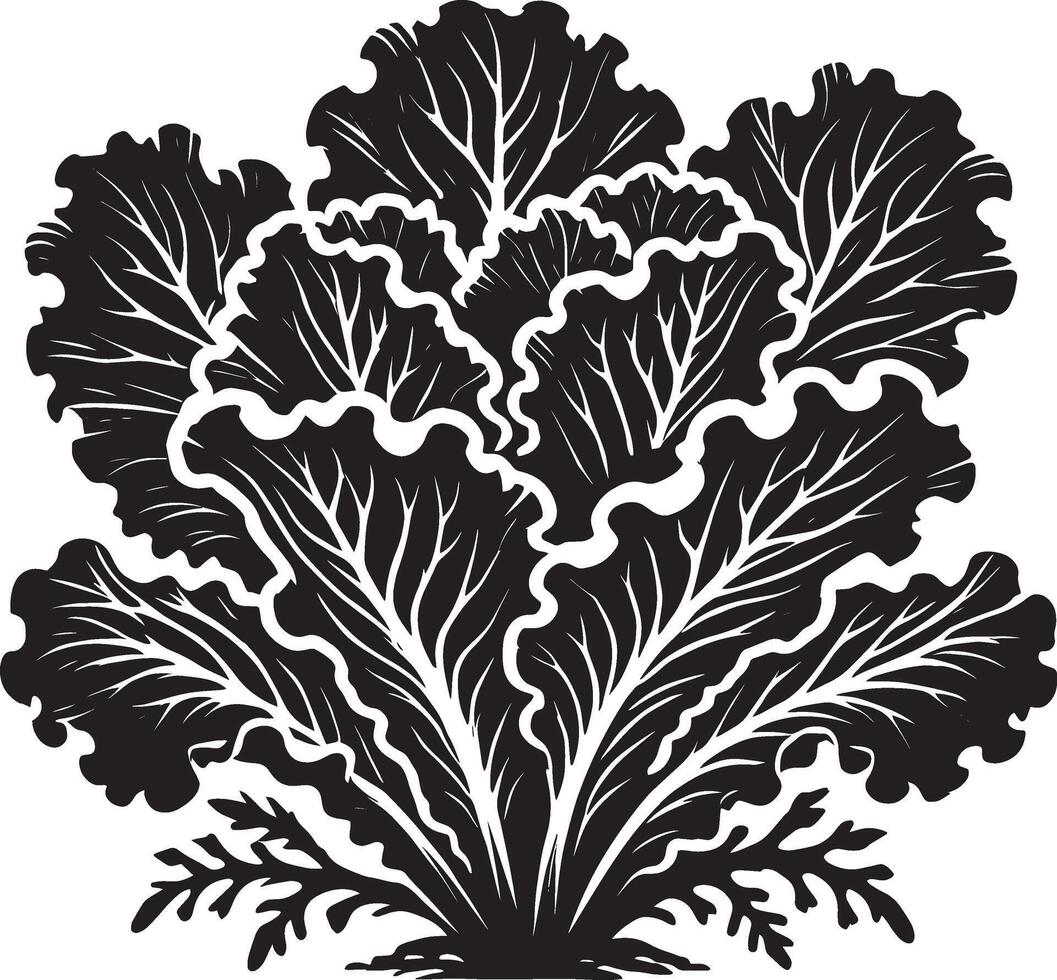 Refined lettuce plant silhouette design on a clean white background vector
