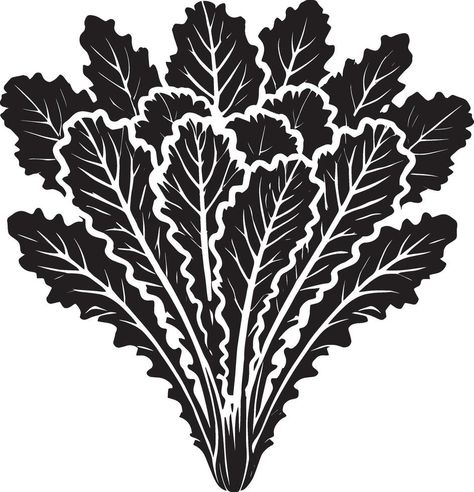 Elegant lettuce plant silhouette illustration on a plain white background vector