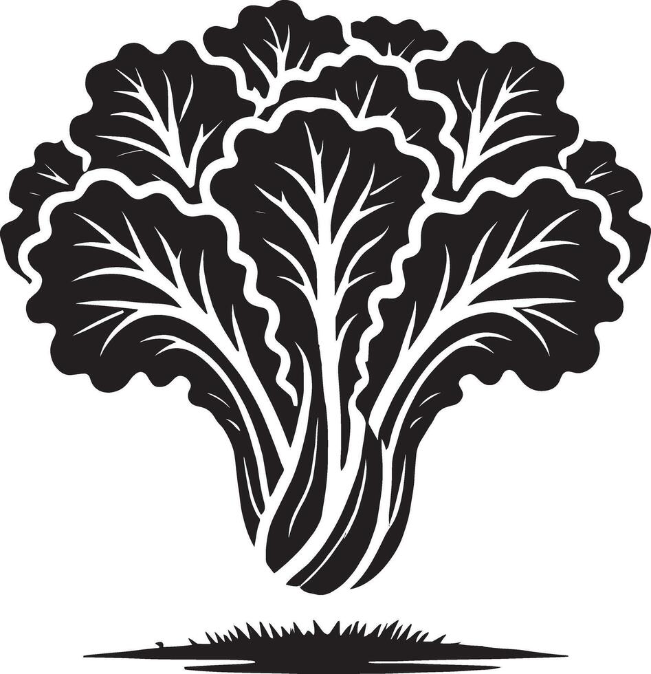 Artistic lettuce leaf shape design on pure white vector