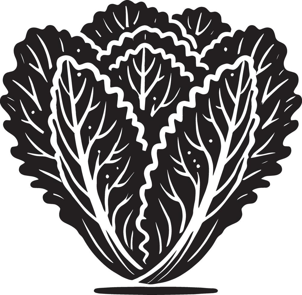 Graceful lettuce leaf shadow design on clean white vector