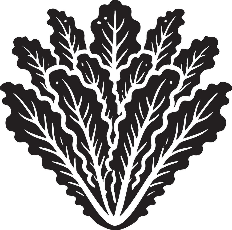 Unique lettuce leaf silhouette on a pristine white background vector