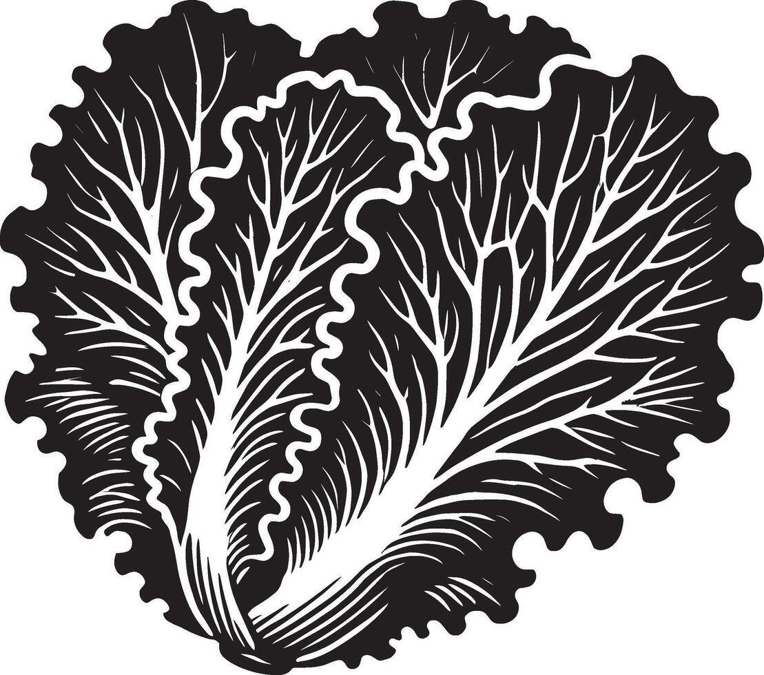 Realistic lettuce leaf silhouette on a blank white canvas vector