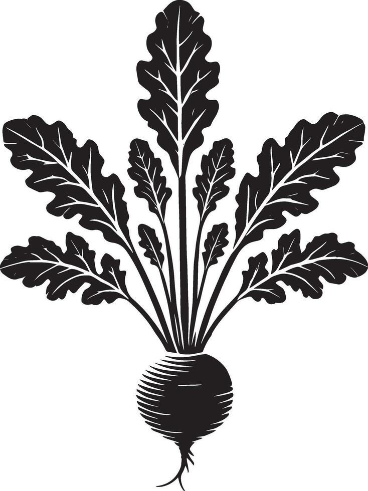 Flavor-packed radish vegetable shadow artwork on a blank white backdrop vector