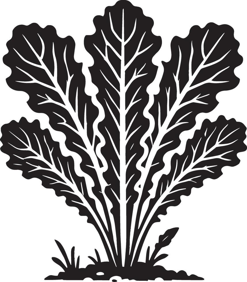 Decorative lettuce plant shape on a crisp white canvas vector