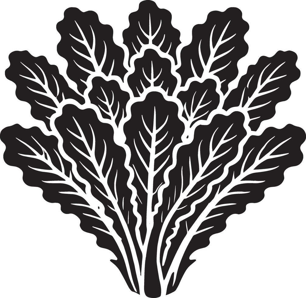 Elegant lettuce leaf shadow illustration on white vector